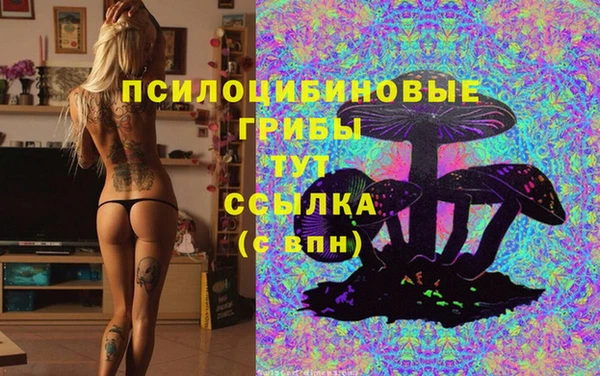 прущие грибы Ладушкин