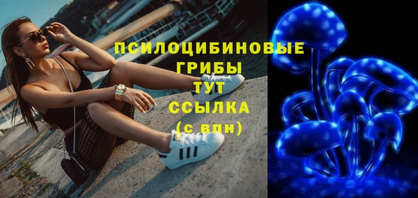 СК Арсеньев