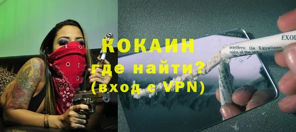 прущие грибы Ладушкин