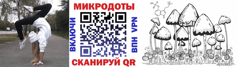 Галлюциногенные грибы ЛСД  дарк нет состав  Пудож 